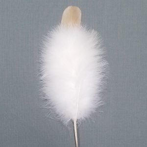 Woman's German Feather
