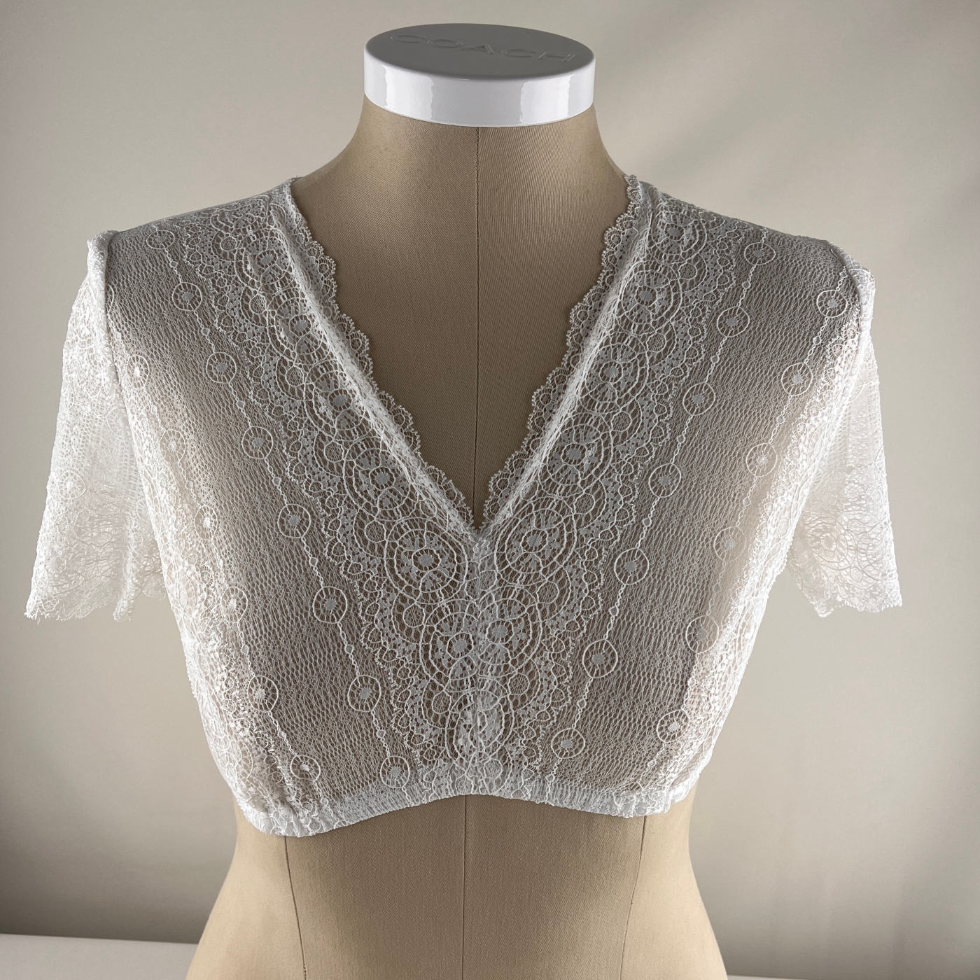 Giulia Sheer Lace V Neck Blouse