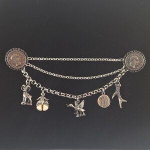Coin and charms chari