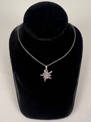 import placeholder for jew:hk2612020