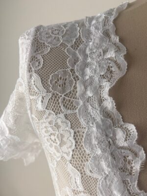 carina sheer lace v neck blouse
