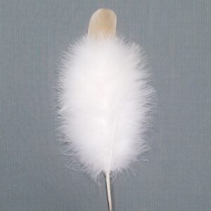 import placeholder for 37023