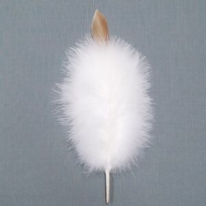 import placeholder for fea:304lt