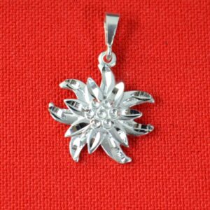 import placeholder for jew:21 12s