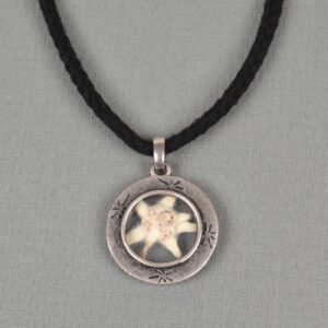 import placeholder for jew:hk61 2002