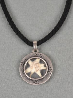 import placeholder for jew:hk61 2002
