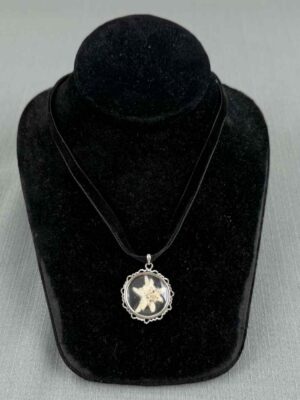 import placeholder for jew:sch1713z/00k080