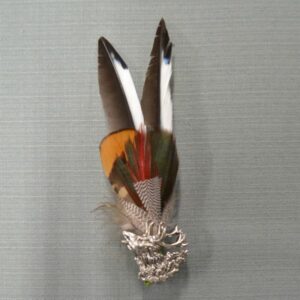 import placeholder for fea:200 679 477