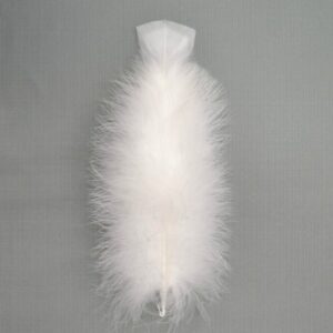 import placeholder for fea:303