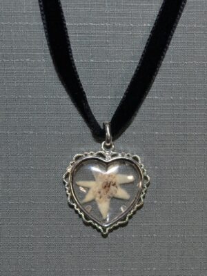 import placeholder for jew:sch1709k80