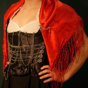 dancer's formal trachten mieder blouse