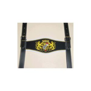 import placeholder for 12 2