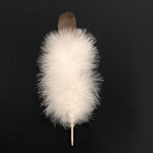 traditional german dancing feather