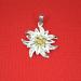 Two Toned Edelweiss Pendent