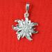Silver Edelweiss Pendent