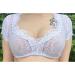 Carina Lace Blouse