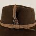 Brown hat feather detail